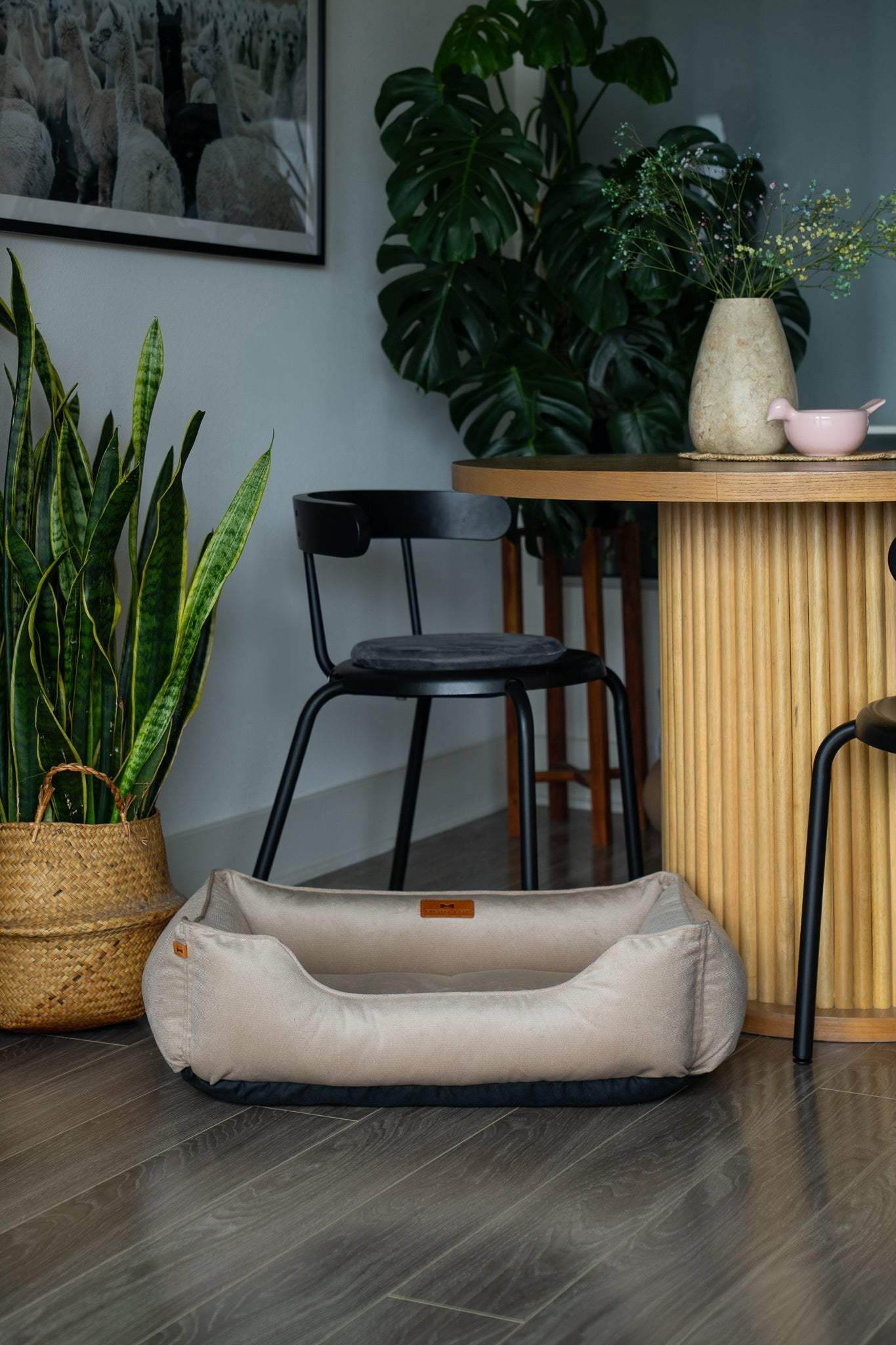 Chester & Lee | Classic Velvet Sleeper Dog Bed Beige - Chester & Lee - Flyclothing LLC
