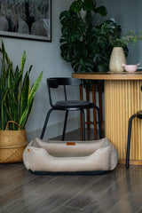 Chester & Lee | Classic Velvet Sleeper Dog Bed Beige - Chester & Lee - Flyclothing LLC