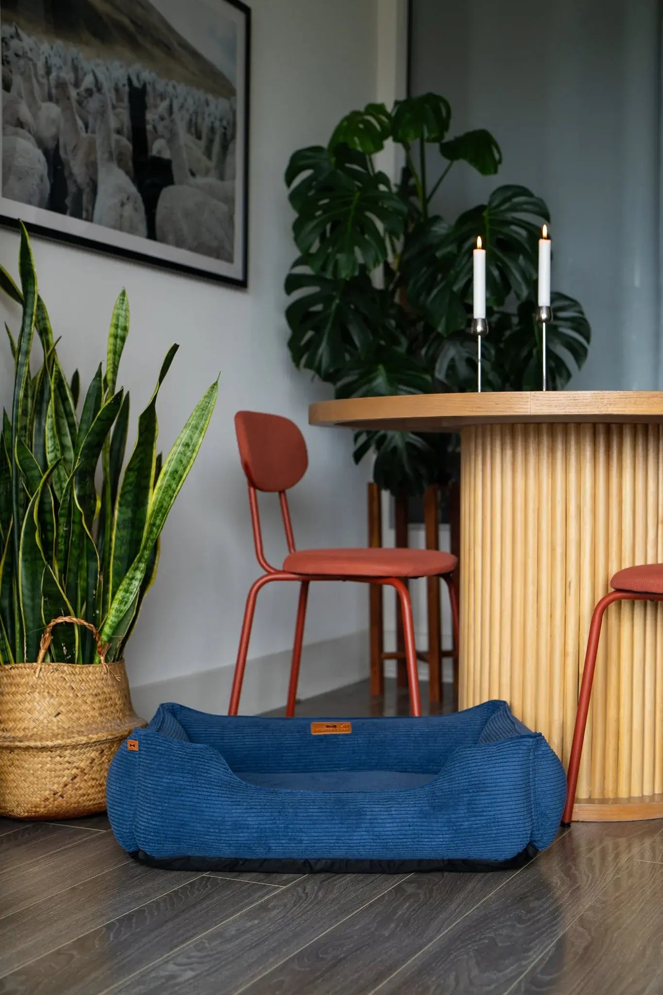 Chester & Lee | Fancy Corduroy Sleeper Dog Bed Blue - Chester & Lee - Flyclothing LLC
