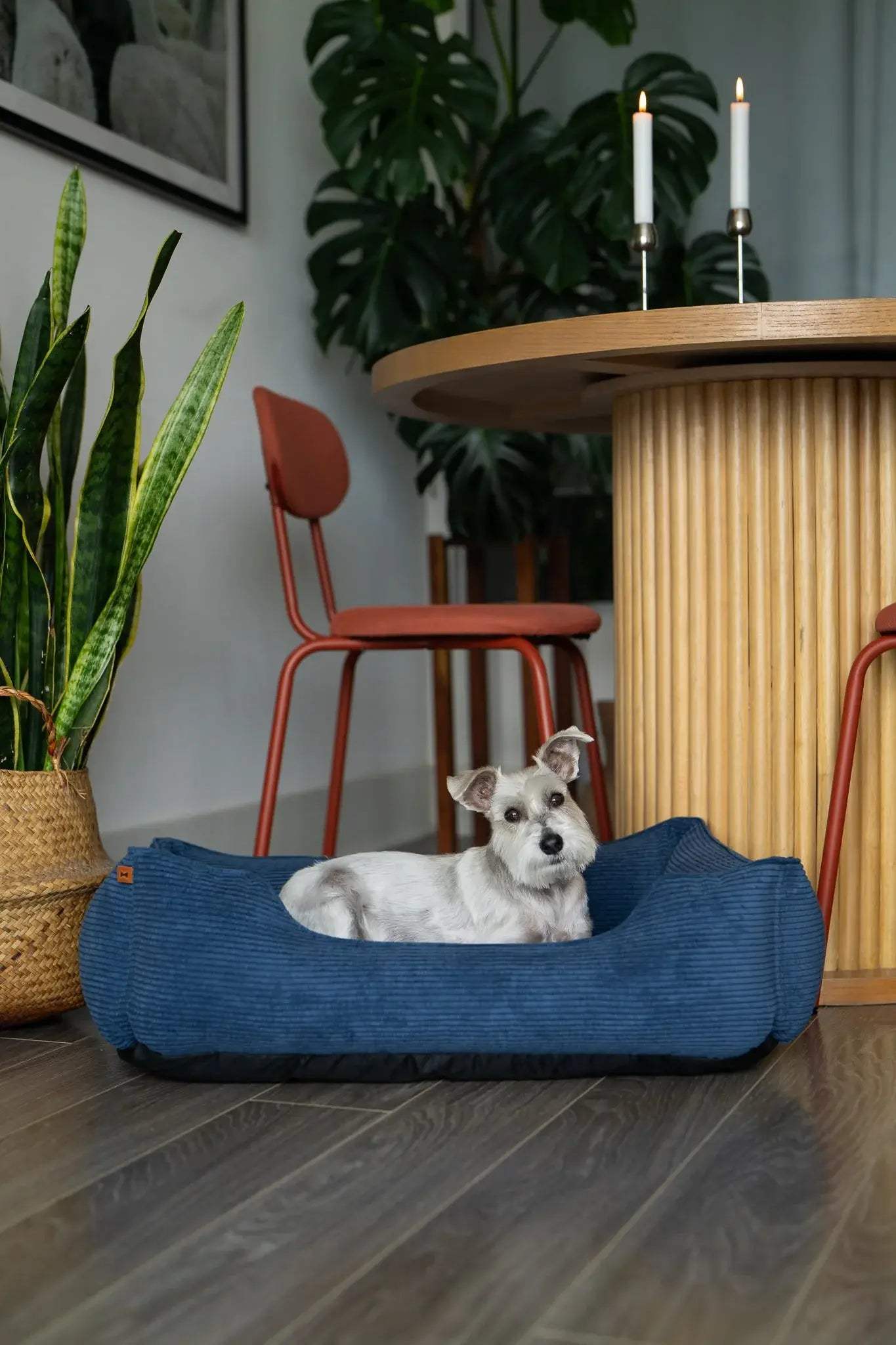 Chester & Lee | Fancy Corduroy Sleeper Dog Bed - Chester & Lee - Flyclothing LLC