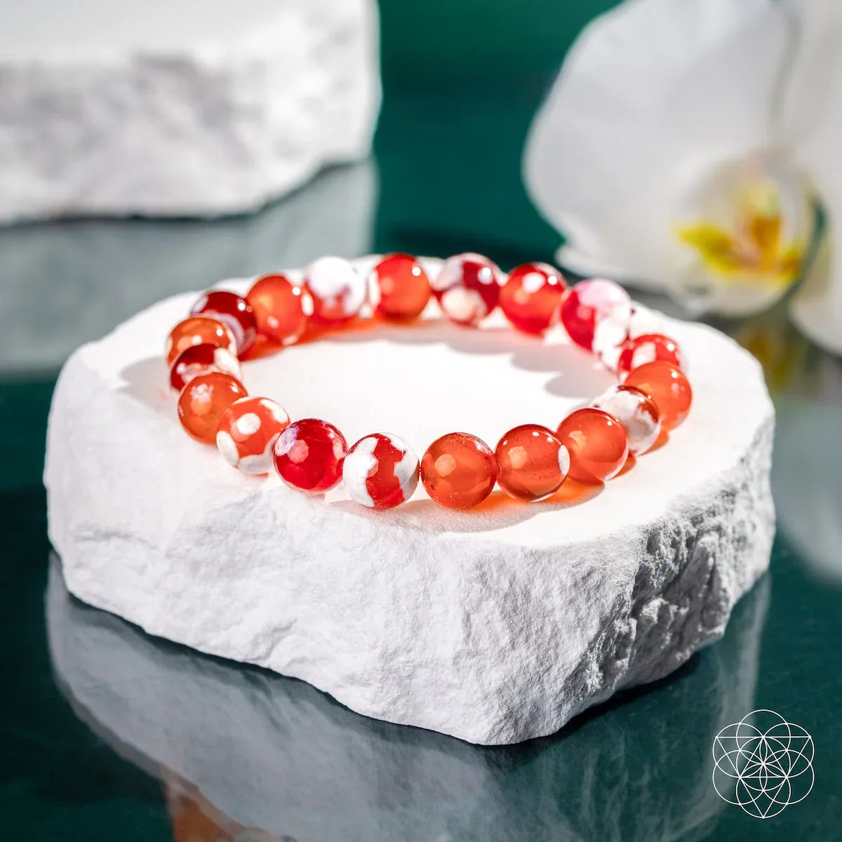 Feminine Force – Carnelian Orca Agate Bracelet - Conscious Items - Flyclothing LLC