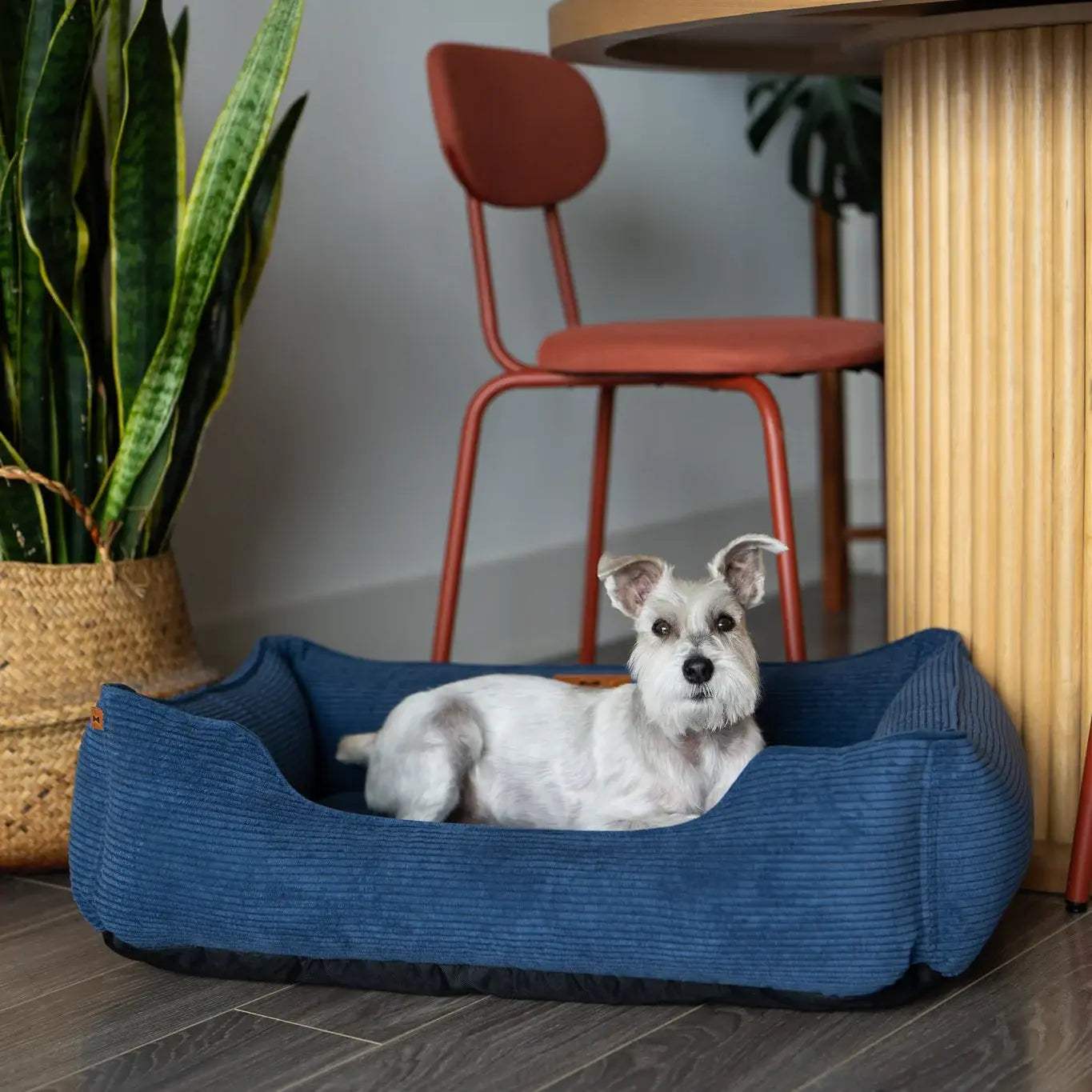 Chester & Lee | Fancy Corduroy Sleeper Dog Bed Blue - Chester & Lee - Flyclothing LLC
