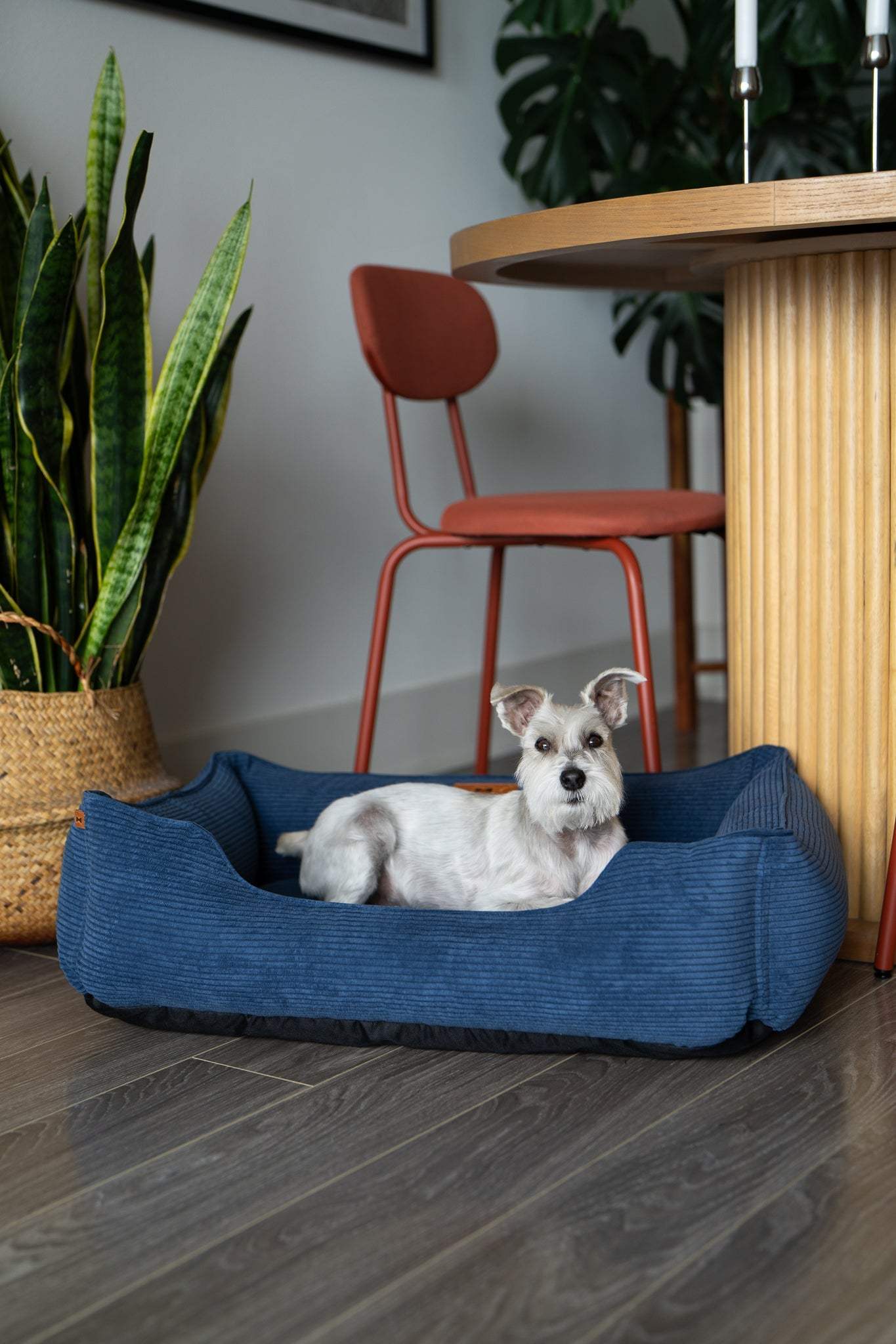 Chester & Lee | Fancy Corduroy Sleeper Dog Bed - Chester & Lee - Flyclothing LLC