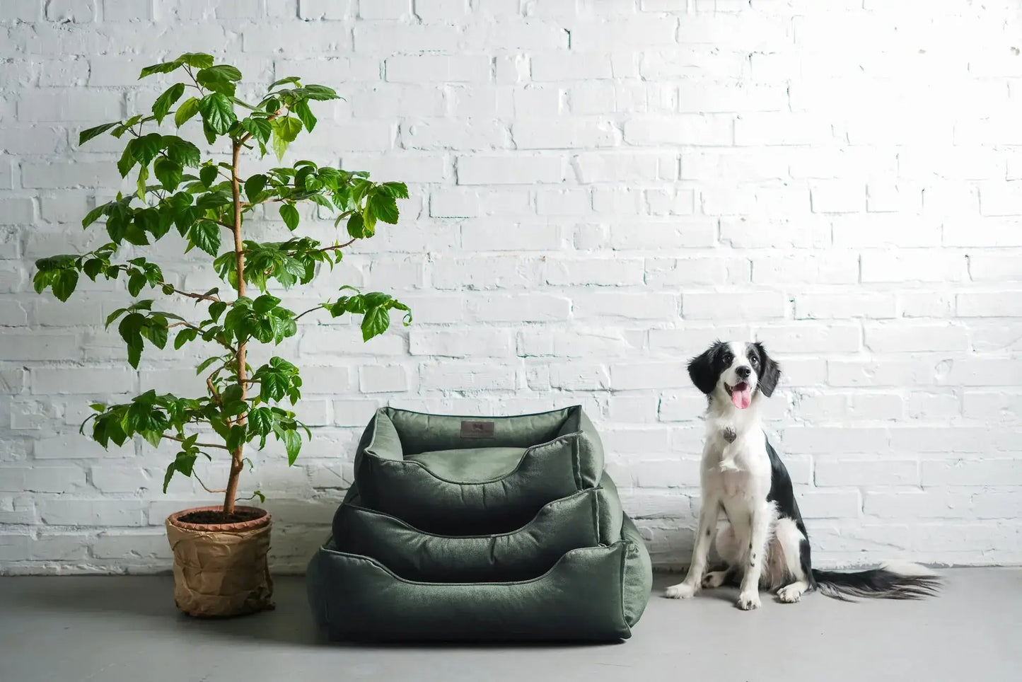 Chester & Lee | Classic Velvet Sleeper Dog Bed Green - Chester & Lee - Flyclothing LLC