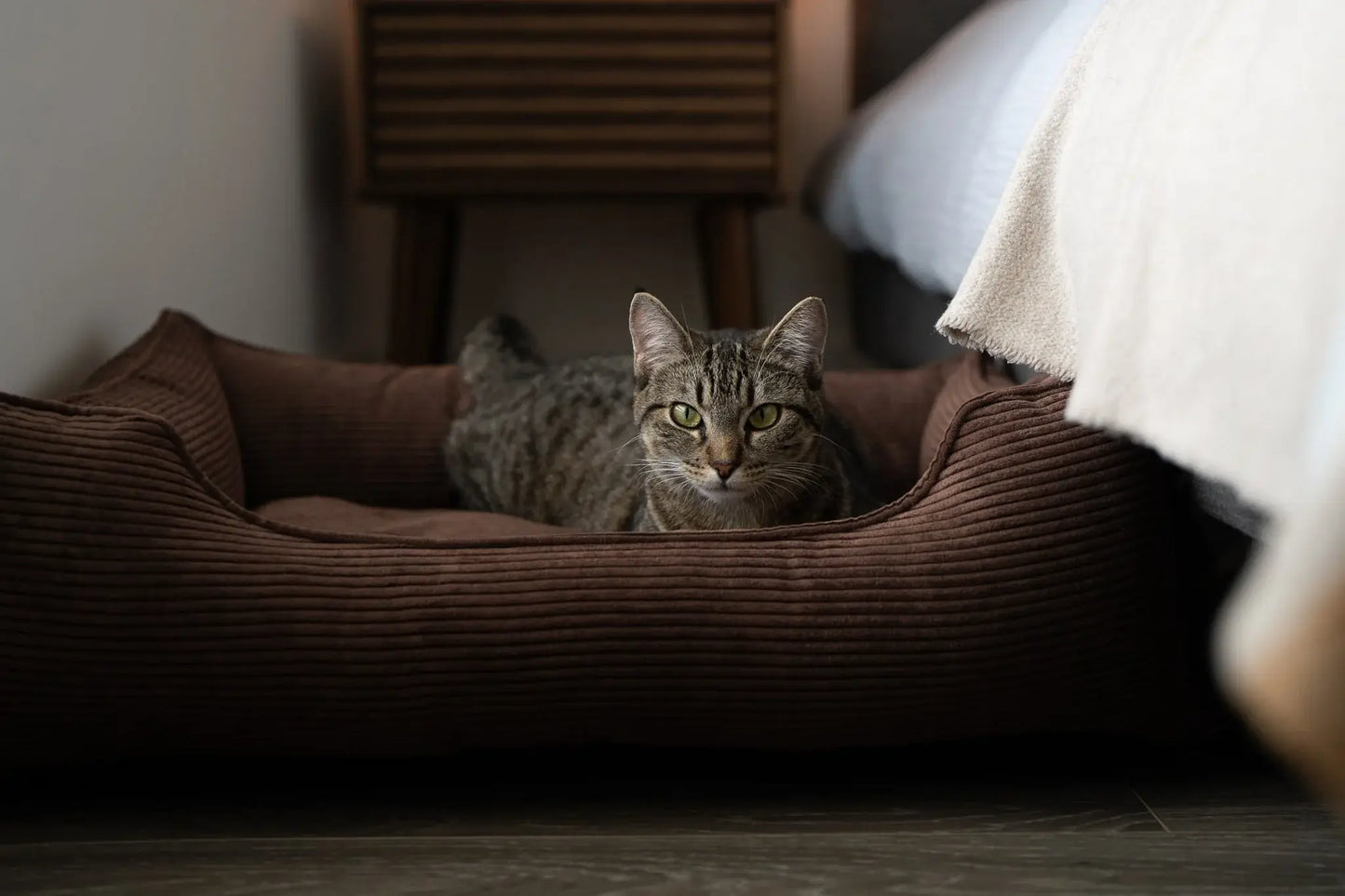 Chester & Lee | Fancy Corduroy Sleeper Dog Bed Brown - Chester & Lee - Flyclothing LLC
