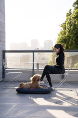 Chester & Lee | Waterproof Lounger Dog Bed Gray - Chester & Lee - Flyclothing LLC