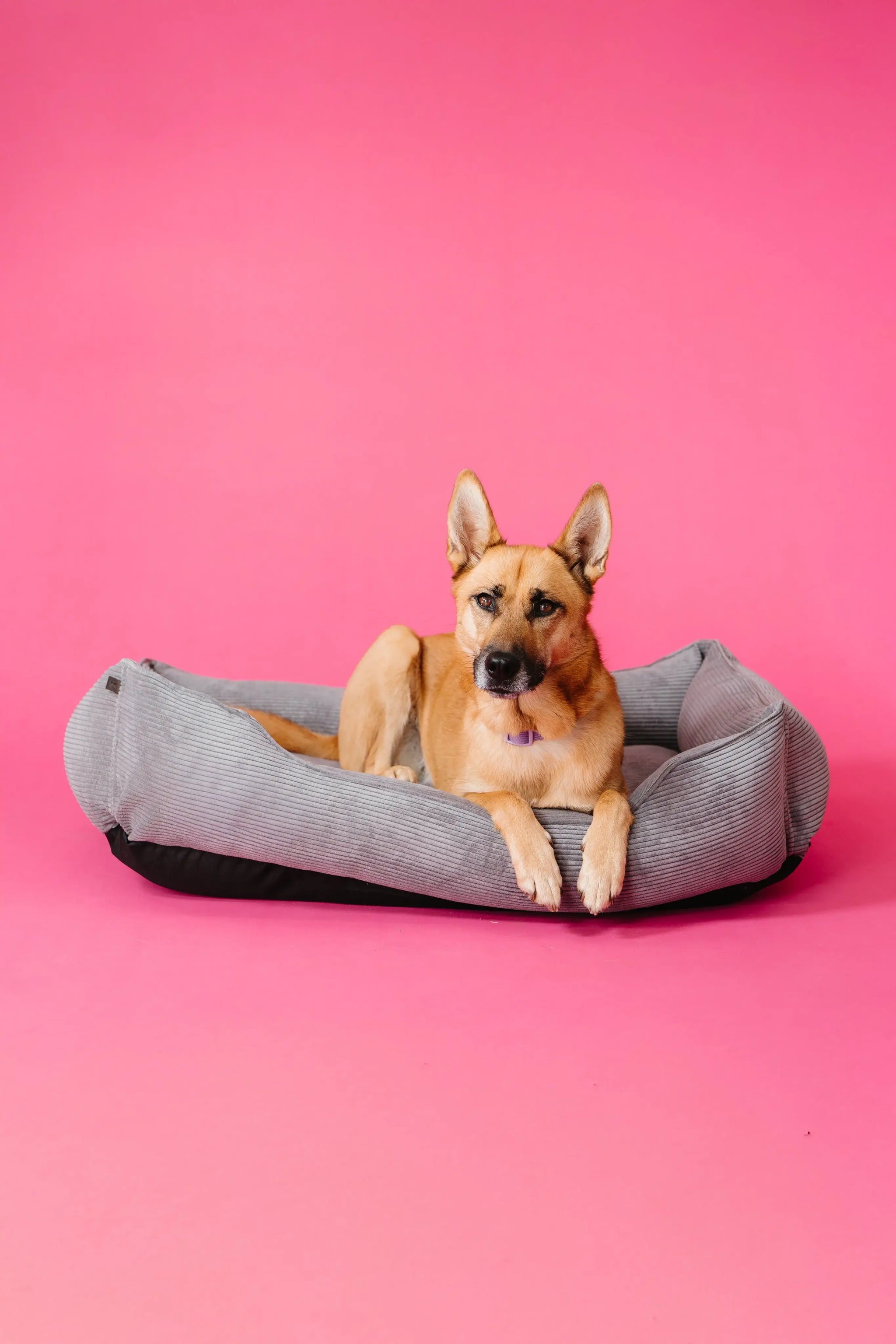 Chester & Lee | Fancy Corduroy Sleeper Dog Bed Gray - Chester & Lee - Flyclothing LLC