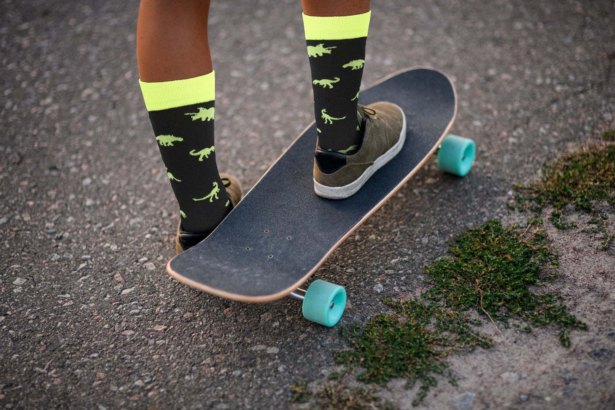 Dinosaur Socks - Comfy Cotton for Men & Women - Real Sic - Flyclothing LLC