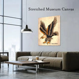 Black Market Art Company Diving Eagle Print - Black Market Art Company - Flyclothing LLC