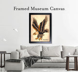 Black Market Art Company Diving Eagle Print
