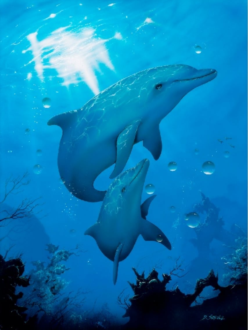 Black Market Art Company Dolphins Print