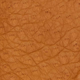 Donatella (brown) – Luxurious Italian peccary leather gloves with cashmere lining - Leather Gloves Online - Flyclothing LLC