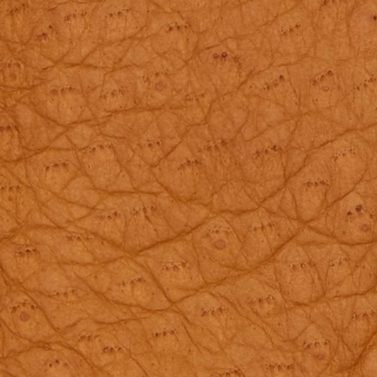 Donatella (brown) – Luxurious Italian peccary leather gloves with cashmere lining - Leather Gloves Online - Flyclothing LLC