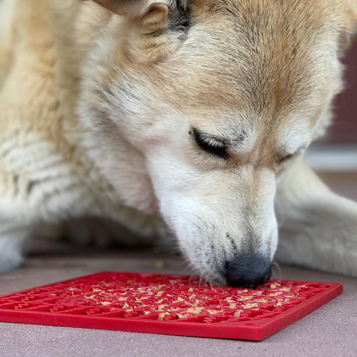 "Peace" Christmas Tree emat - Enrichment Lick Mat for Dogs and Cats | Christmas Tree design | SodaPup - SodaPup/True Dogs, LLC - Flyclothing LLC