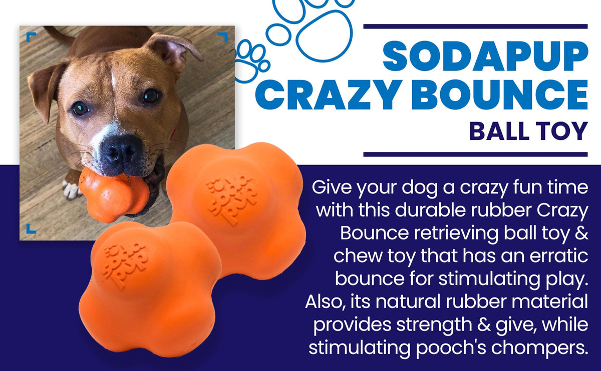 Crazy Bounce Rubber Dog Chew Toy for Power Chewers | Retrieving Ball | USA Made - SodaPup/True Dogs, LLC - Flyclothing LLC