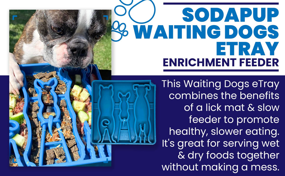Waiting Dogs eTray - Shallow Slow Feeder Bowl for Enrichment | USA Made - SodaPup/True Dogs, LLC - Flyclothing LLC