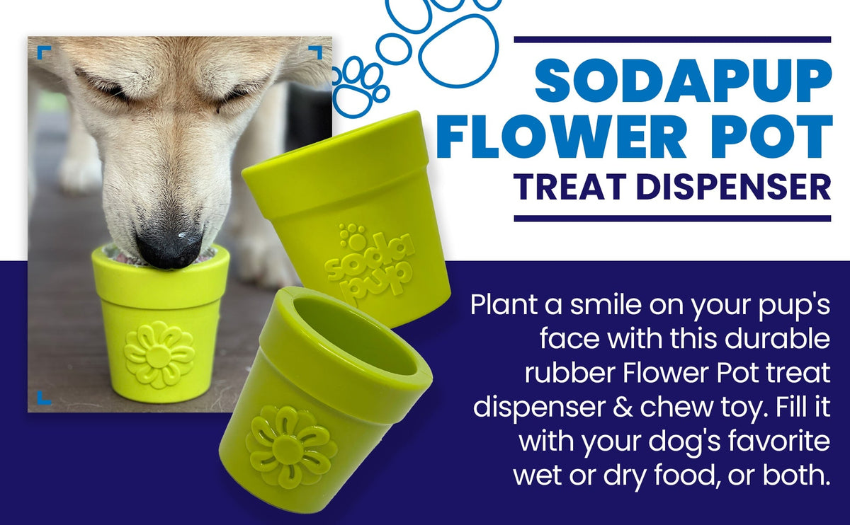 Large Flower Pot eCup Dog Treat Dispenser | Durable USA-Made Enrichment Toy | SodaPup - SodaPup/True Dogs, LLC - Flyclothing LLC