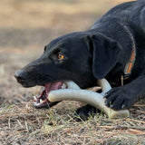 Ever Antler Nylon Chew Bone | Elk Antler Shaped Dog Toy for Aggressive Chewers | SodaPup - SodaPup/True Dogs, LLC - Flyclothing LLC