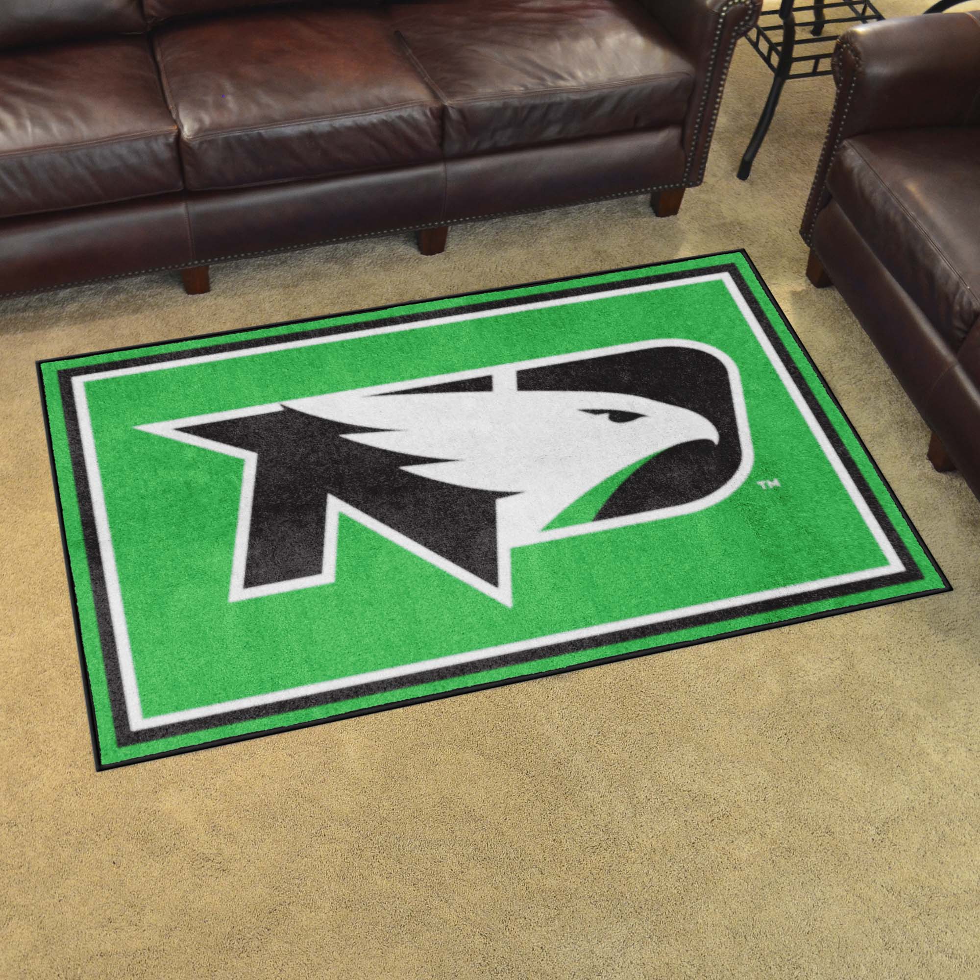 North Dakota Fighting Hawks 4ft. x 6ft. Plush Area Rug - North Dakota