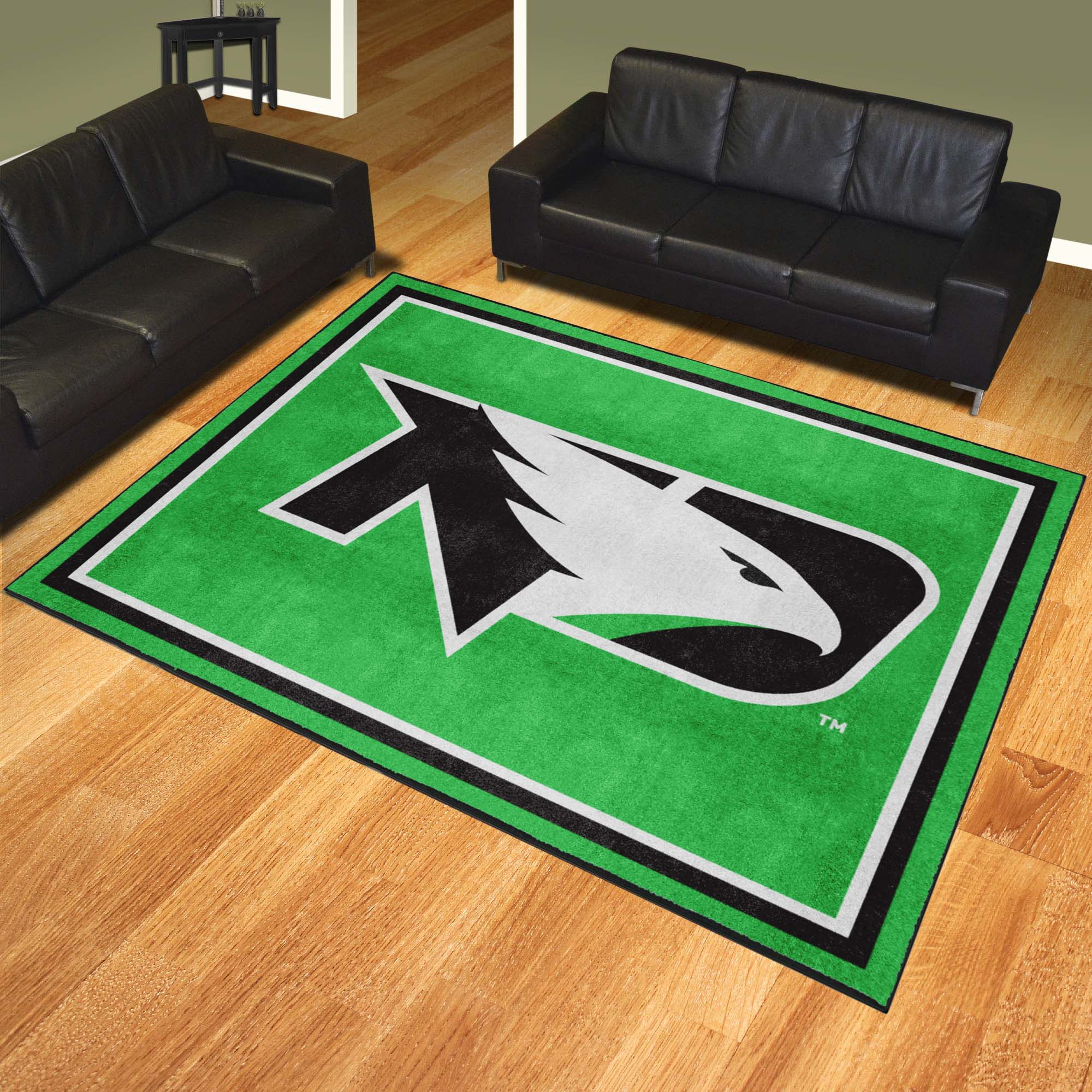 North Dakota Fighting Hawks 8ft. x 10 ft. Plush Area Rug - North Dakota