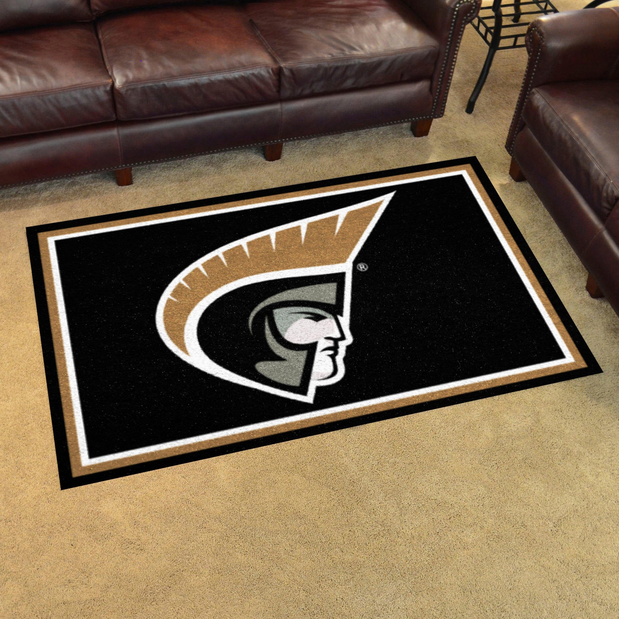 Anderson (SC) Trojans 4ft. x 6ft. Plush Area Rug - Anderson (SC)