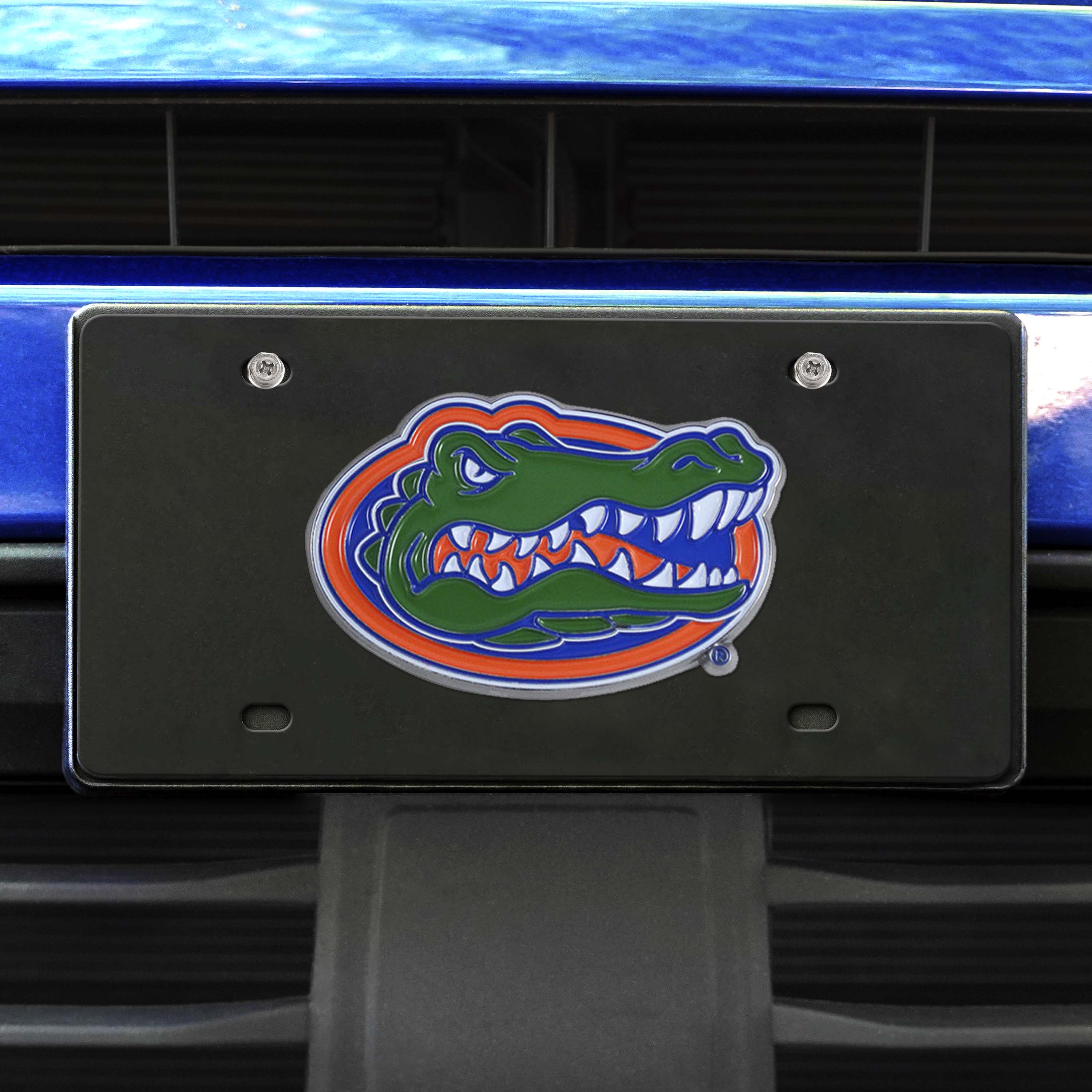 Florida Gators 3D Black License Plate - Florida