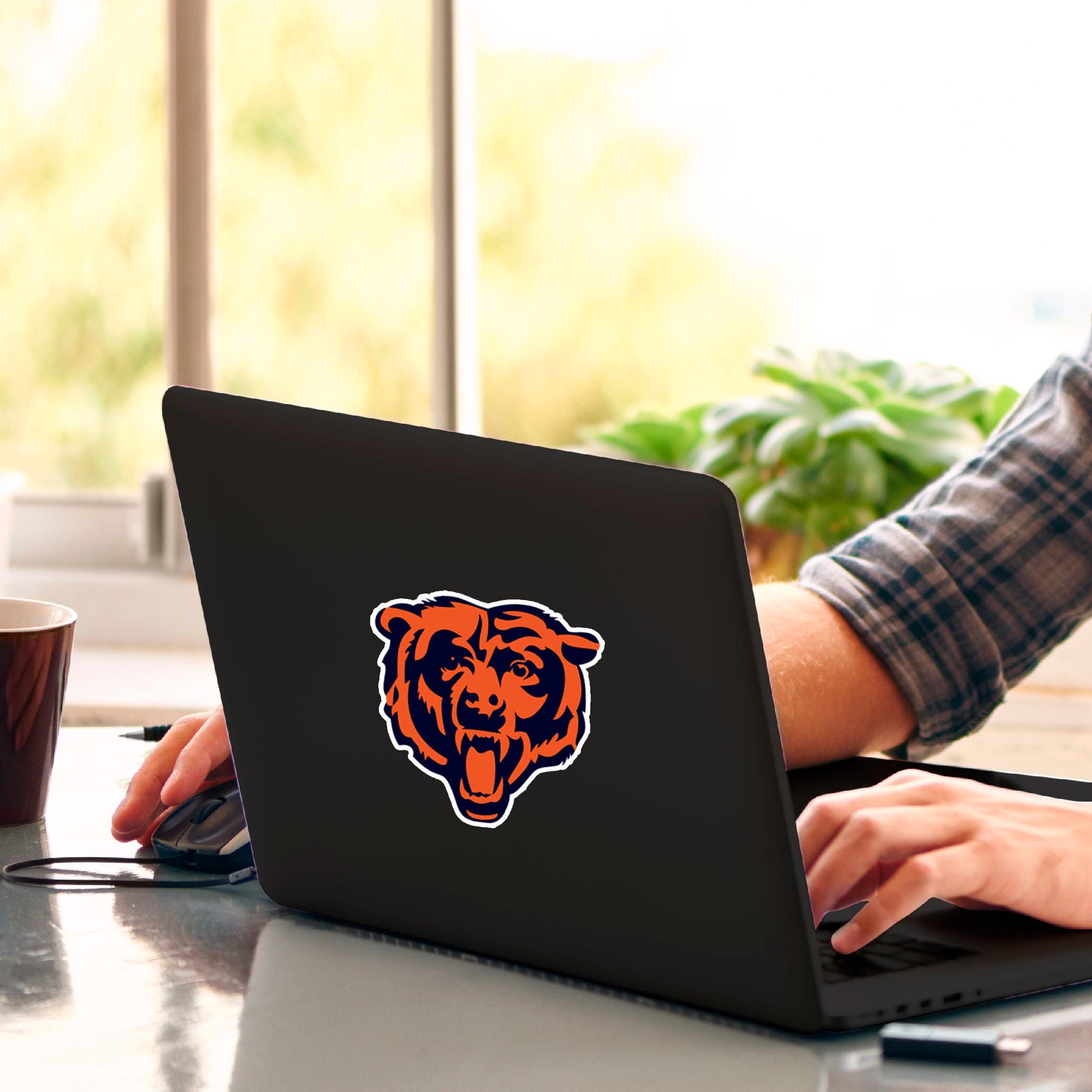 Chicago Bears Matte Decal Sticker - Chicago Bears