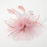 Mesh Flower Feather Mesh Fascinator / Headband - Madeline Love - Flyclothing LLC