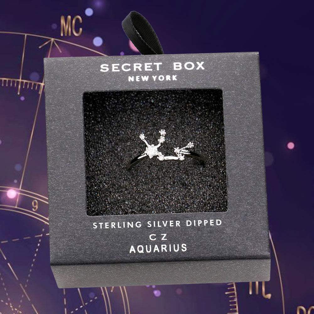 Secret Box _ Sterling Silver Dipped CZ Zodiac Sign Aquarius Ring - Madeline Love - Flyclothing LLC