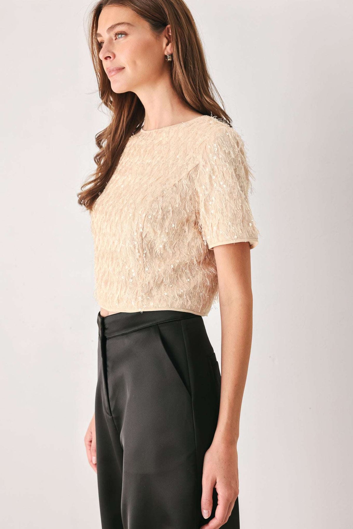 CHAMPAGNE WHISPER SEQUIN EYELASH MESH CROPPED TOP - Flying Tomato - Flyclothing LLC