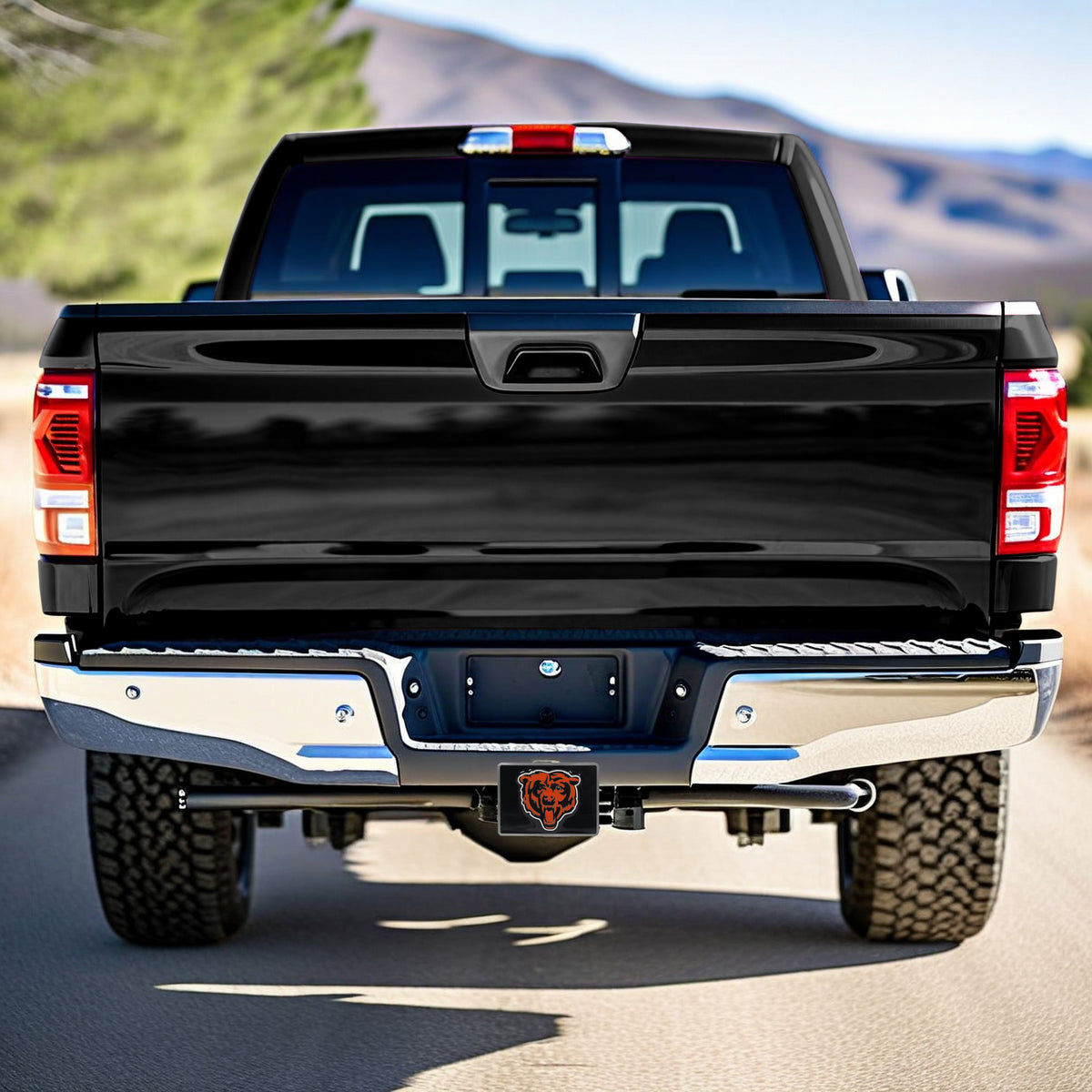 Chicago Bears Hitch Cover Class II and Class III Metal Plugs - Siskiyou Buckle - Flyclothing LLC