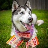 Snack Pack Dog Treat Sampler - Farm To Pet - Flyclothing LLC
