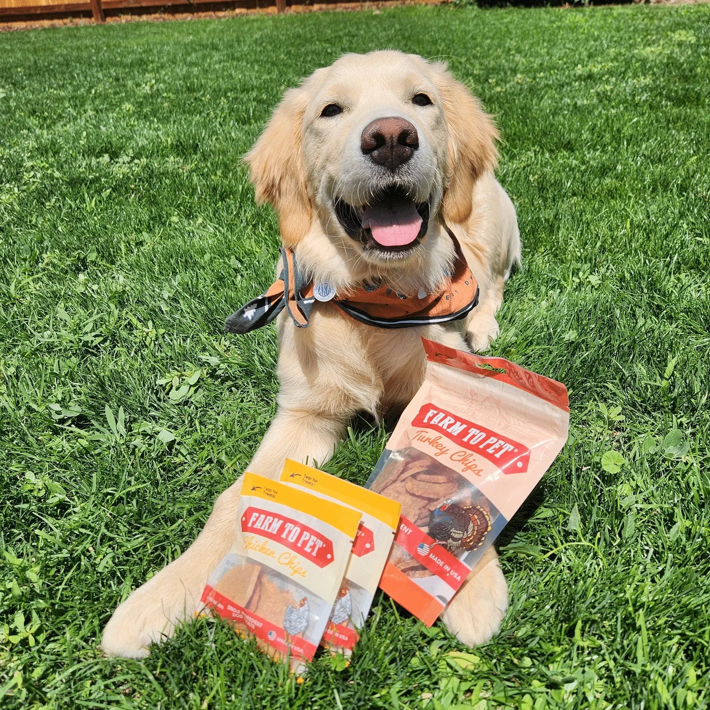 Puppy Packs 'n Snacks Dog Treat Starter Pack | Single-Ingredient Training Treats - Farm To Pet - Flyclothing LLC