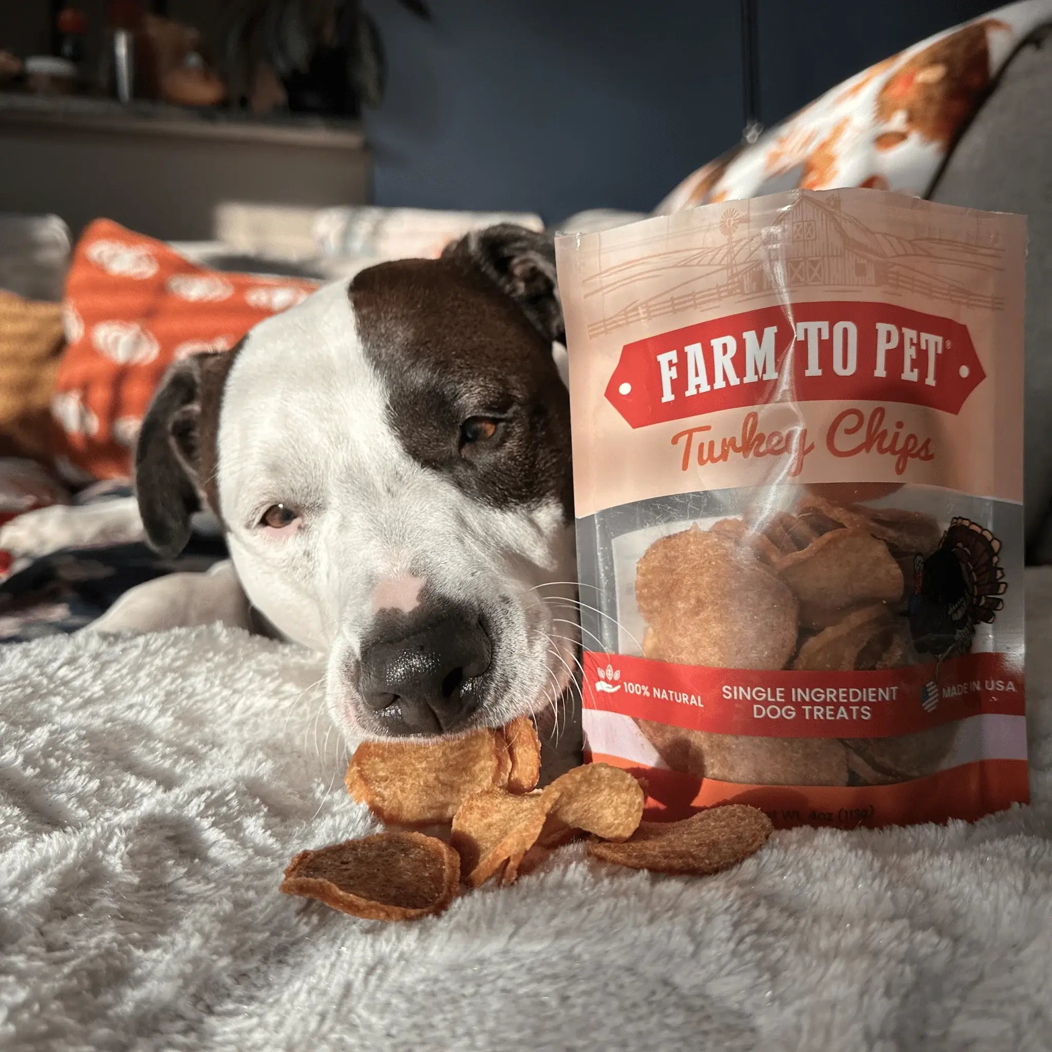 Turkey Chips for Dogs | All-Natural Single-Ingredient Healthy Dog Treats - Farm To Pet - Flyclothing LLC