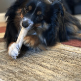 Elk Antler Dog Chews | All-Natural Whole and Split Elk Antler Chews for Dogs - Farm To Pet - Flyclothing LLC