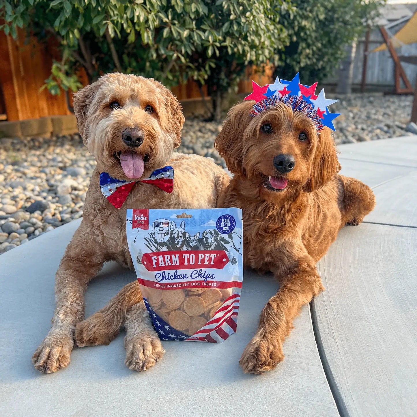 Americana Chicken Chips for Dogs | Celebrate with USA-made Dog Treats - Farm To Pet - Flyclothing LLC