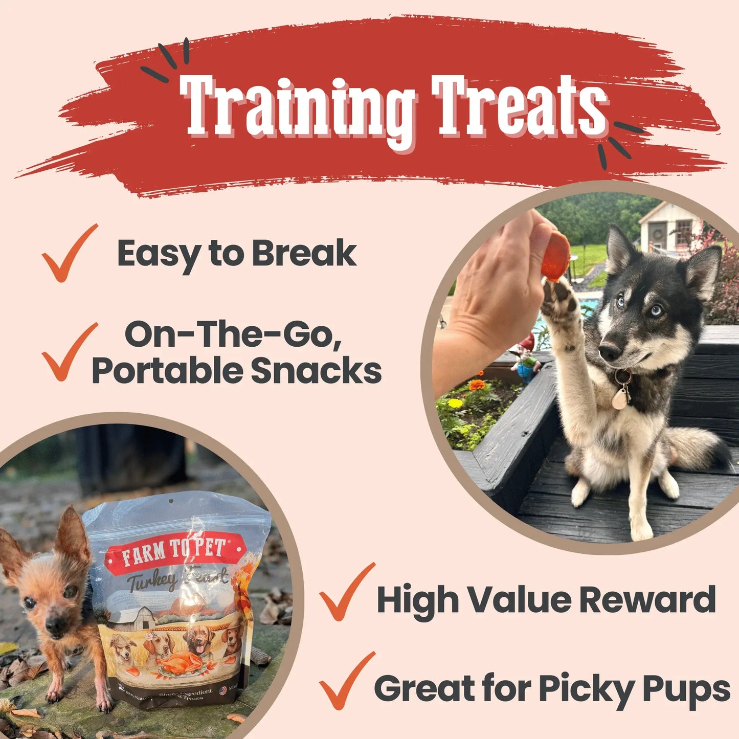 Turkey Feast Chips - Farm To Pet - Flyclothing LLC