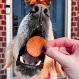 Turkey Feast Chips - Farm To Pet - Flyclothing LLC