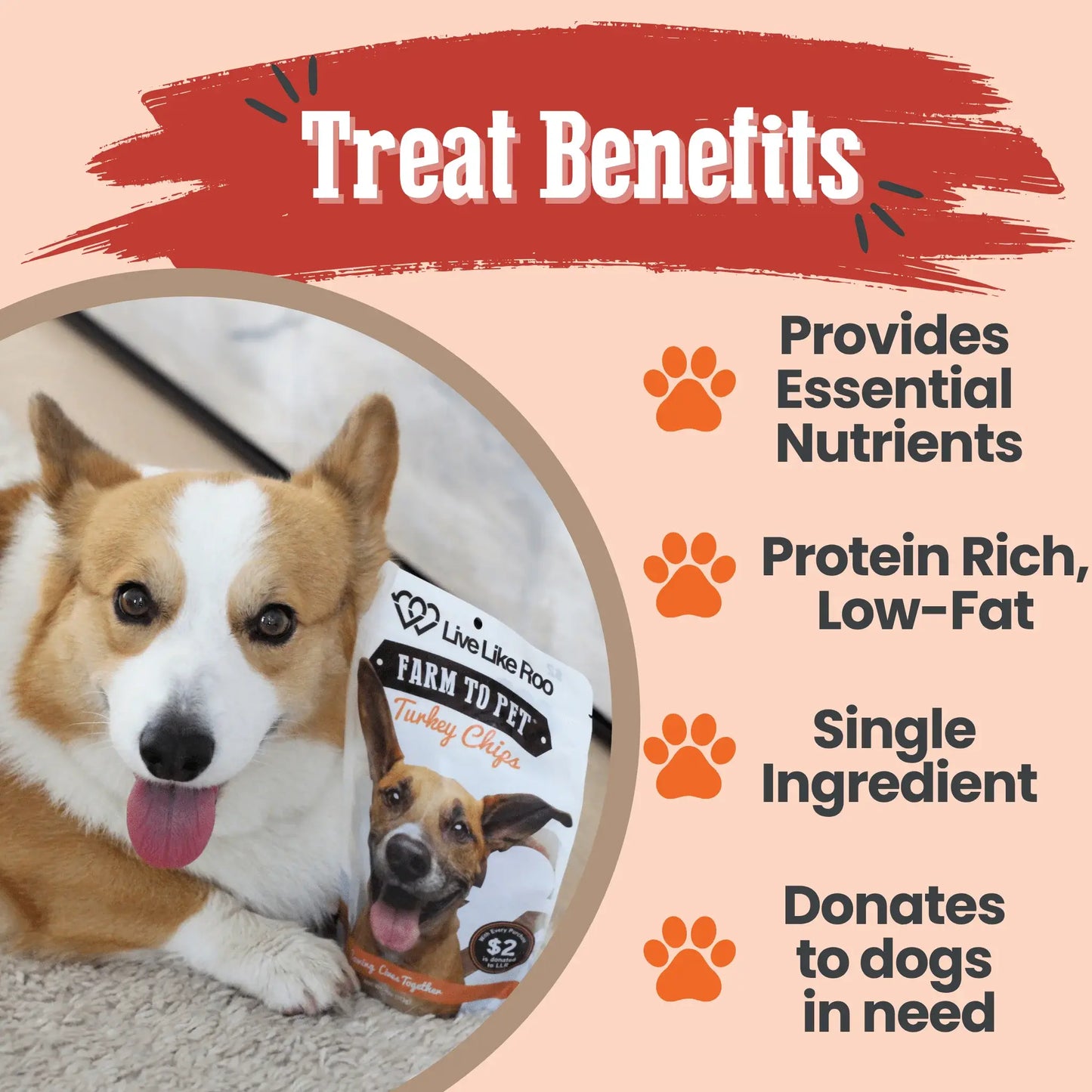 Live Like Roo Turkey Chips for Dogs | Dog Treats That Give Back - Farm To Pet - Flyclothing LLC