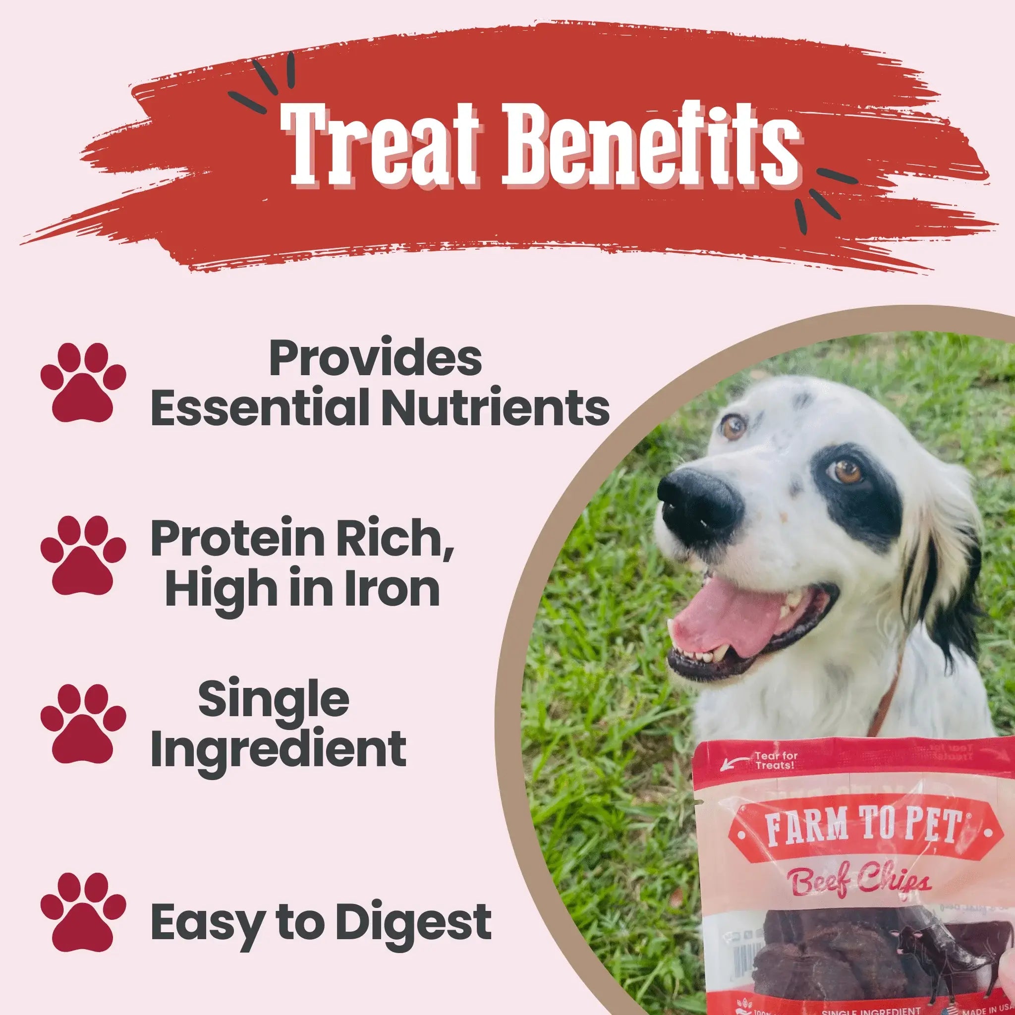 Beef Chips Snack Pack Bundles | Dog Treats for Training & Travel - Farm To Pet - Flyclothing LLC