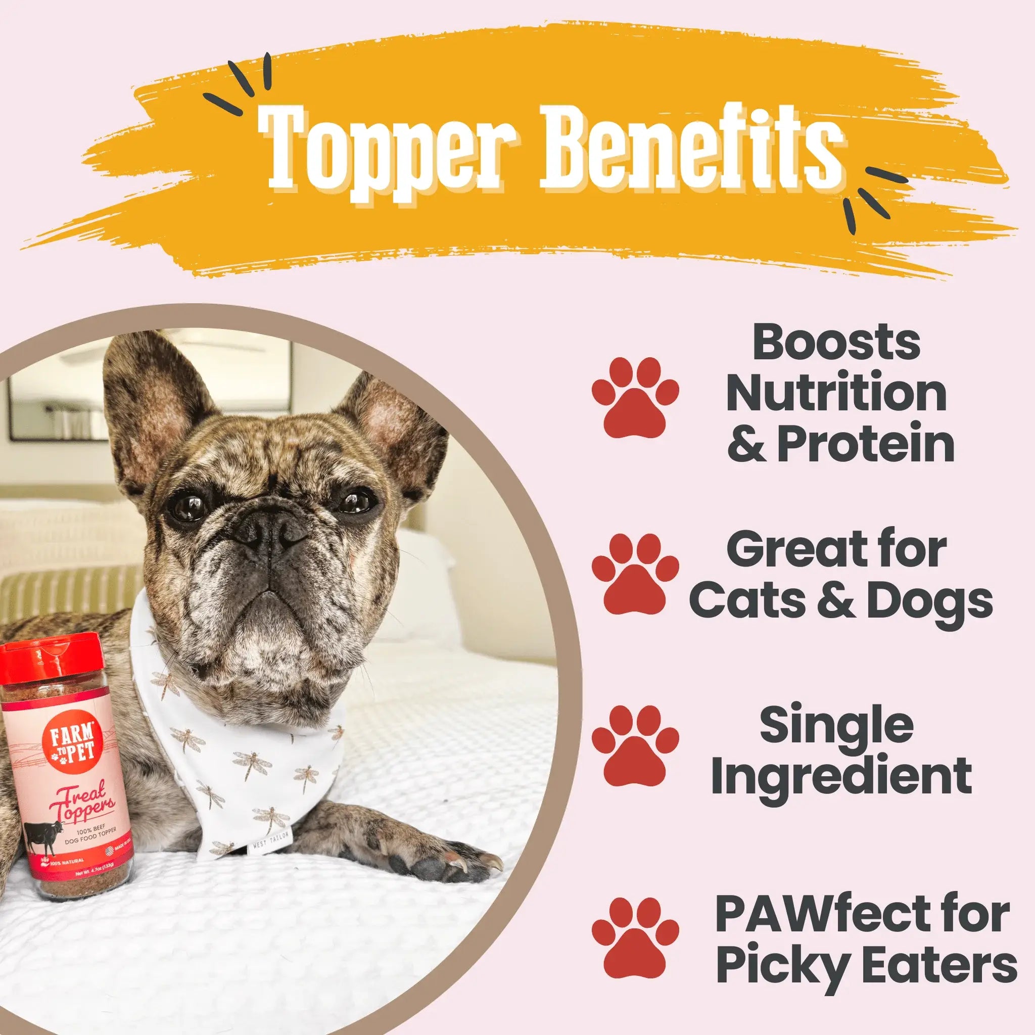 Treat Topper Beef Dog Food Topper | Powdered Meal Topper for Pets - Farm To Pet - Flyclothing LLC