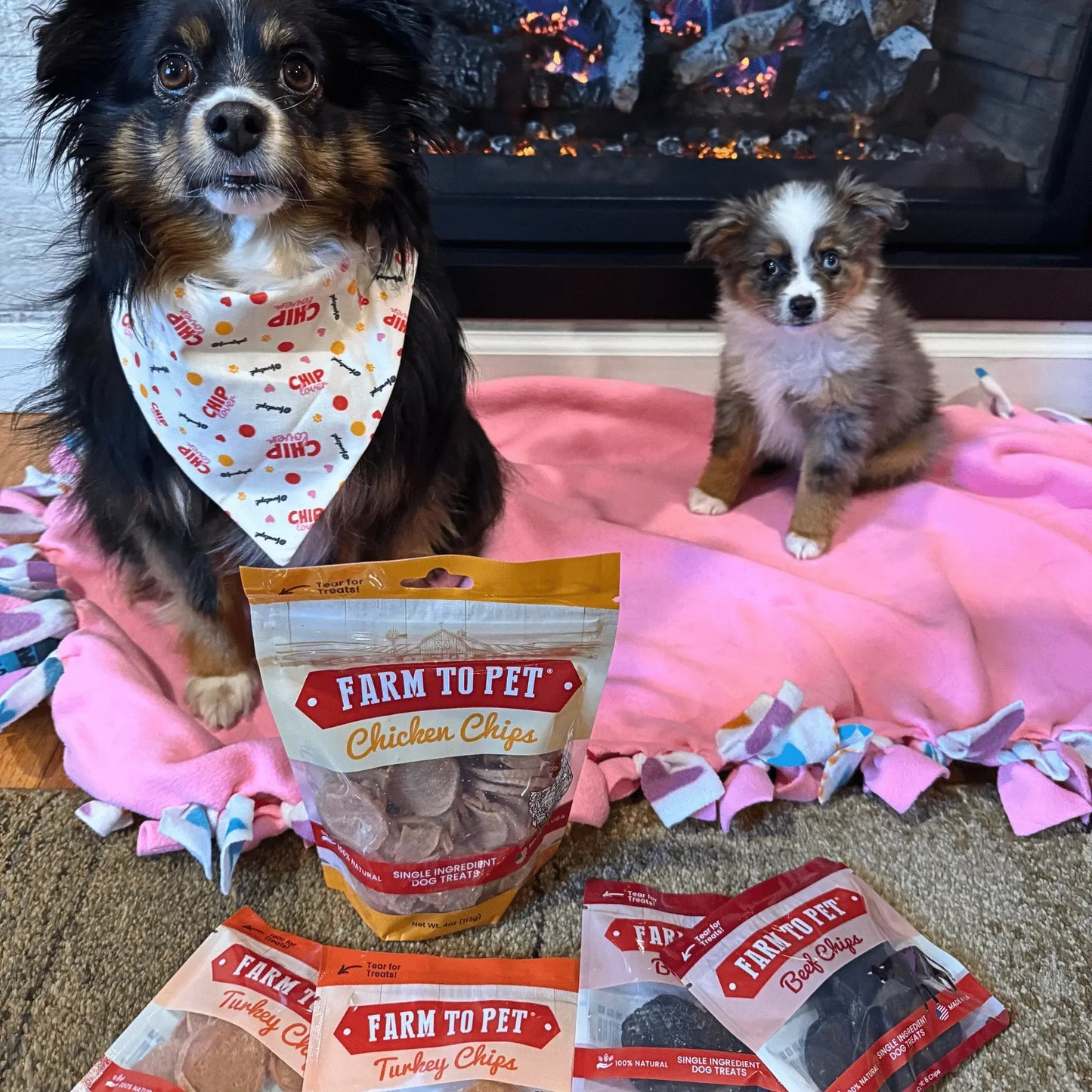 Puppy Packs 'n Snacks Dog Treat Starter Pack | Single-Ingredient Training Treats - Farm To Pet - Flyclothing LLC