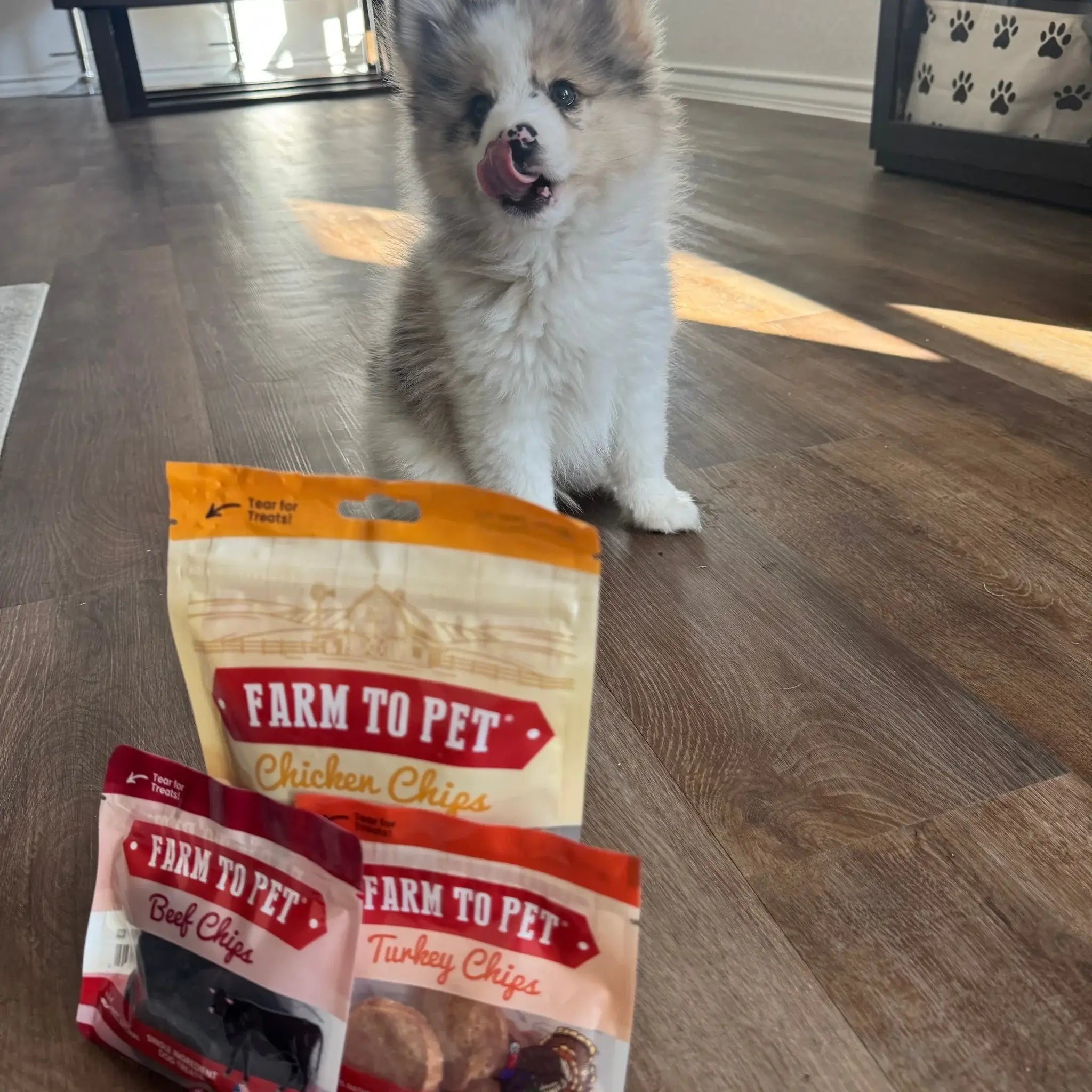 Puppy Packs 'n Snacks Dog Treat Starter Pack | Single-Ingredient Training Treats - Farm To Pet - Flyclothing LLC