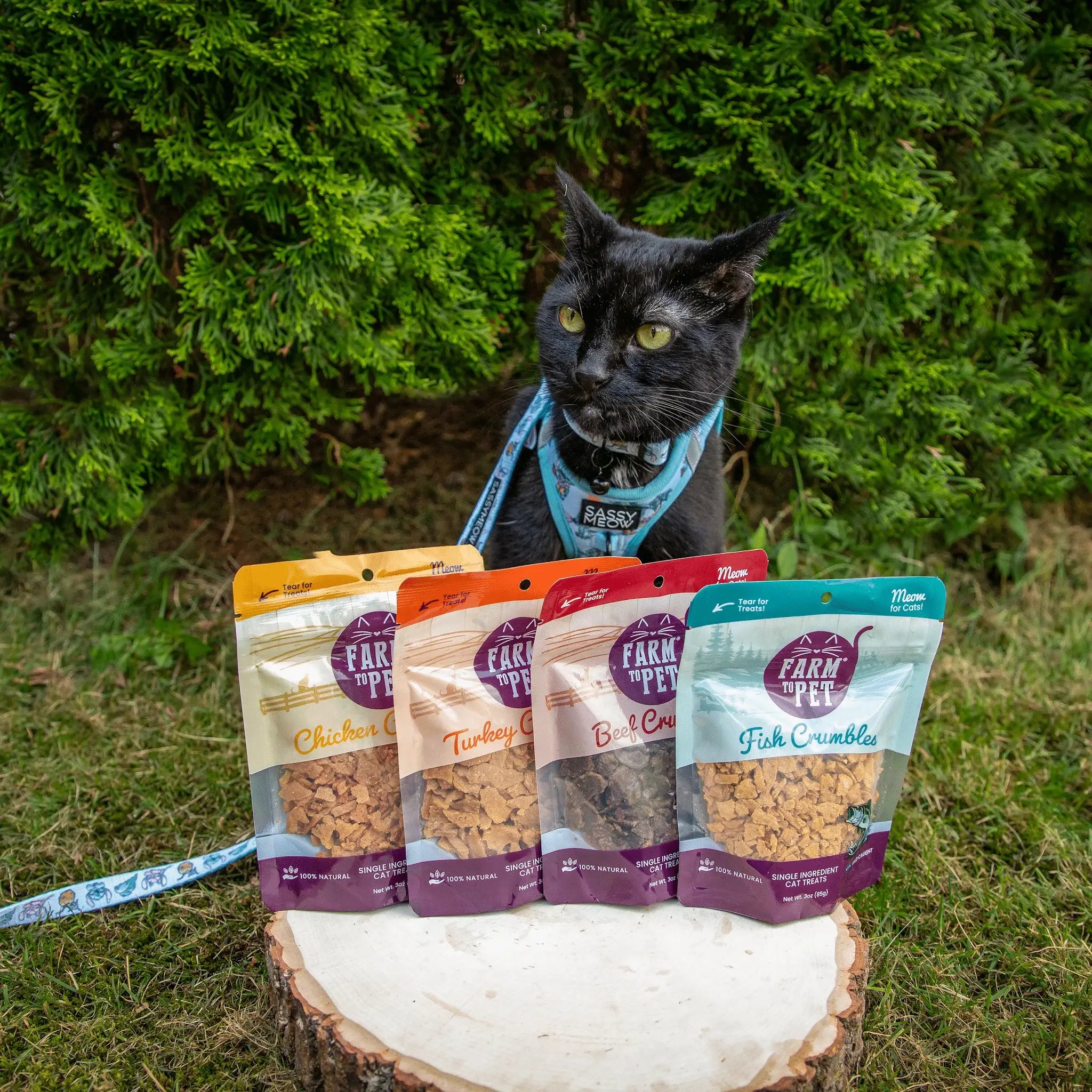Beef Crumbles Cat Treats | High Protein Treats for Cats - Farm To Pet - Flyclothing LLC