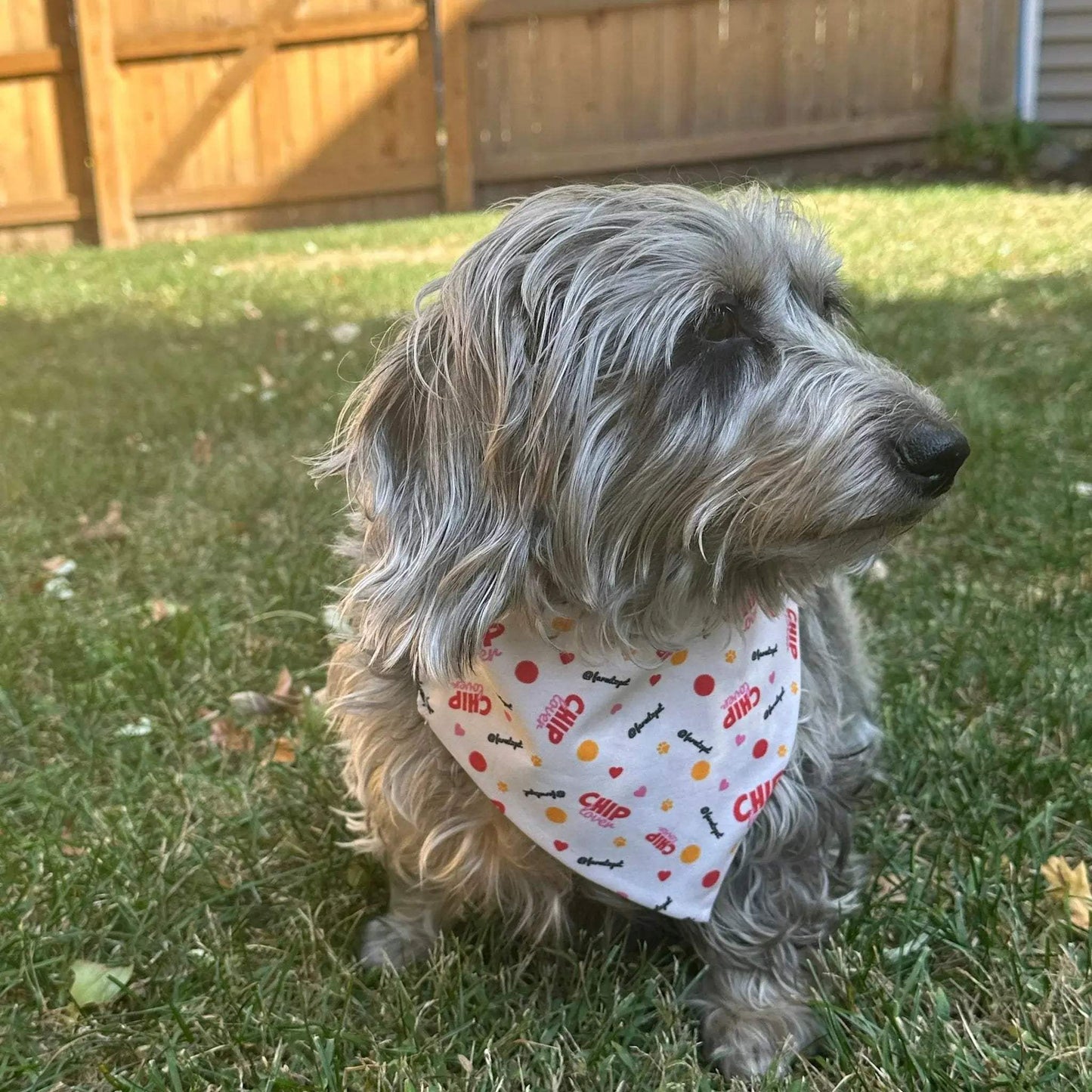 Tie-on Dog Bandana | Adjustable String-tie Bandana for Dogs and Cats - Farm To Pet - Flyclothing LLC