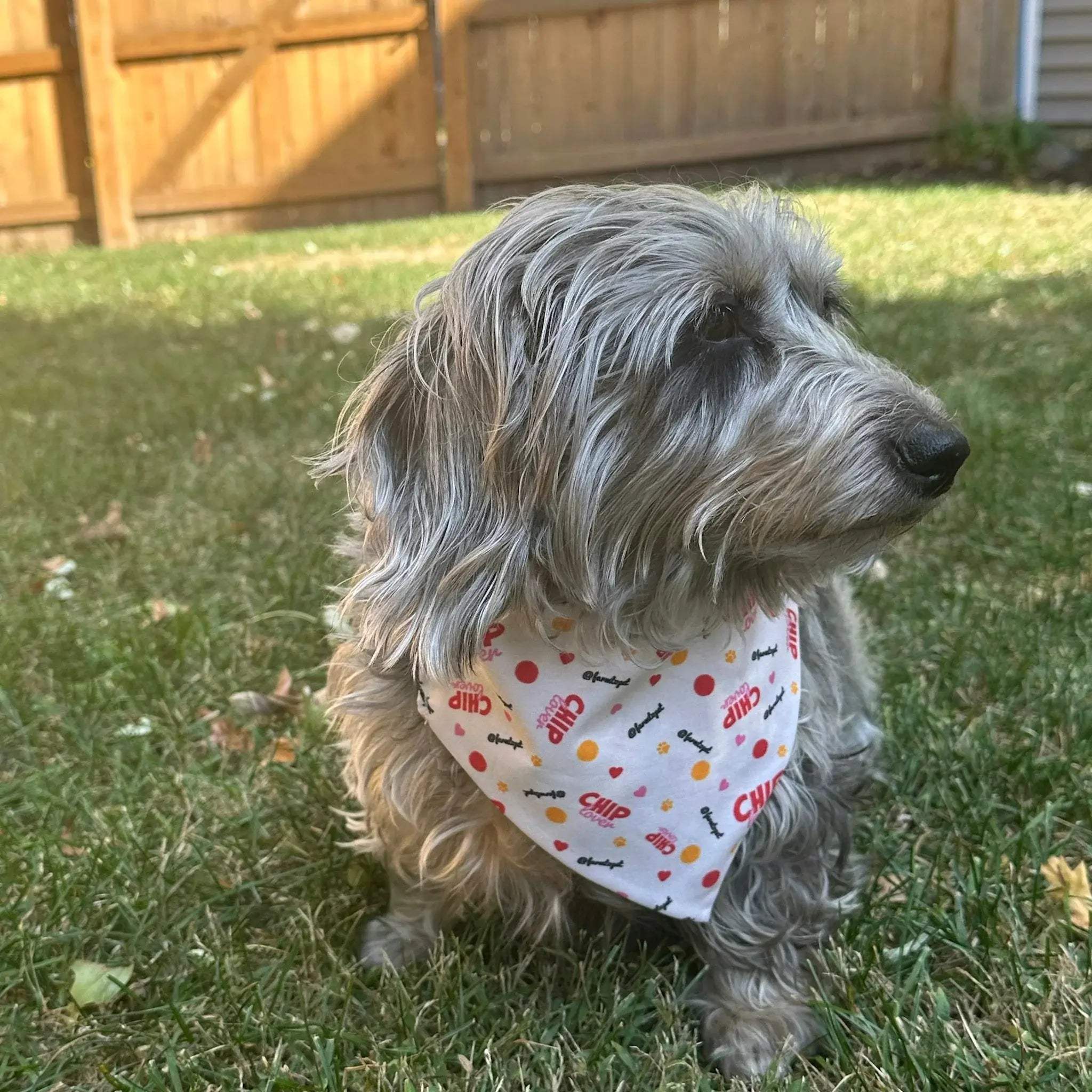 Tie-on Dog Bandana | Adjustable String-tie Bandana for Dogs and Cats - Farm To Pet - Flyclothing LLC