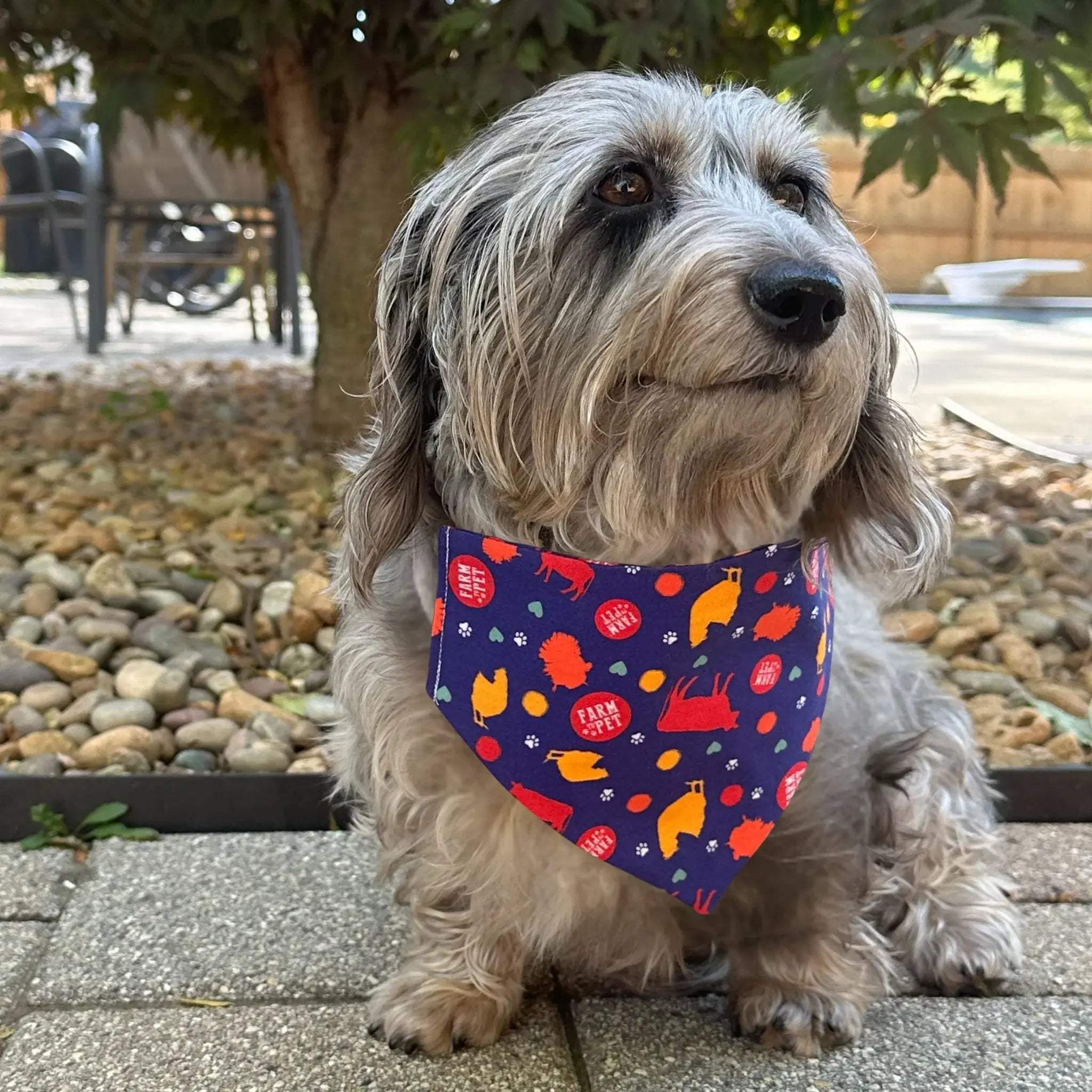 Tie-on Dog Bandana | Adjustable String-tie Bandana for Dogs and Cats - Farm To Pet - Flyclothing LLC