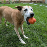 Dog Fetch Balls - Farm To Pet - Flyclothing LLC