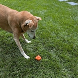 Dog Fetch Balls - Farm To Pet - Flyclothing LLC
