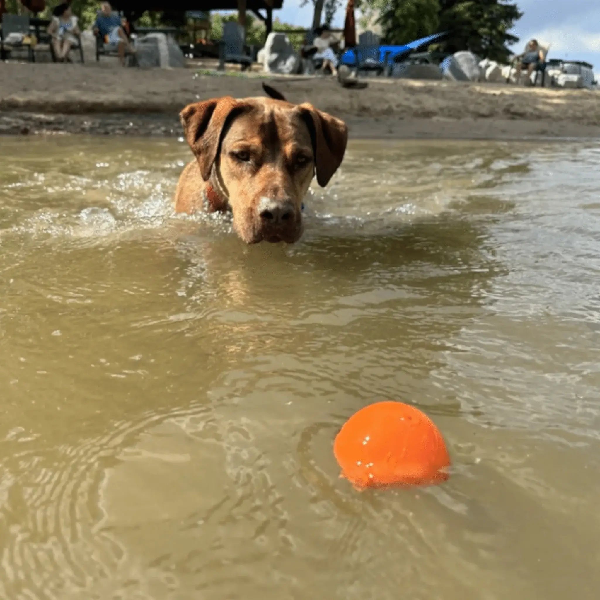 Dog Fetch Balls - Farm To Pet - Flyclothing LLC